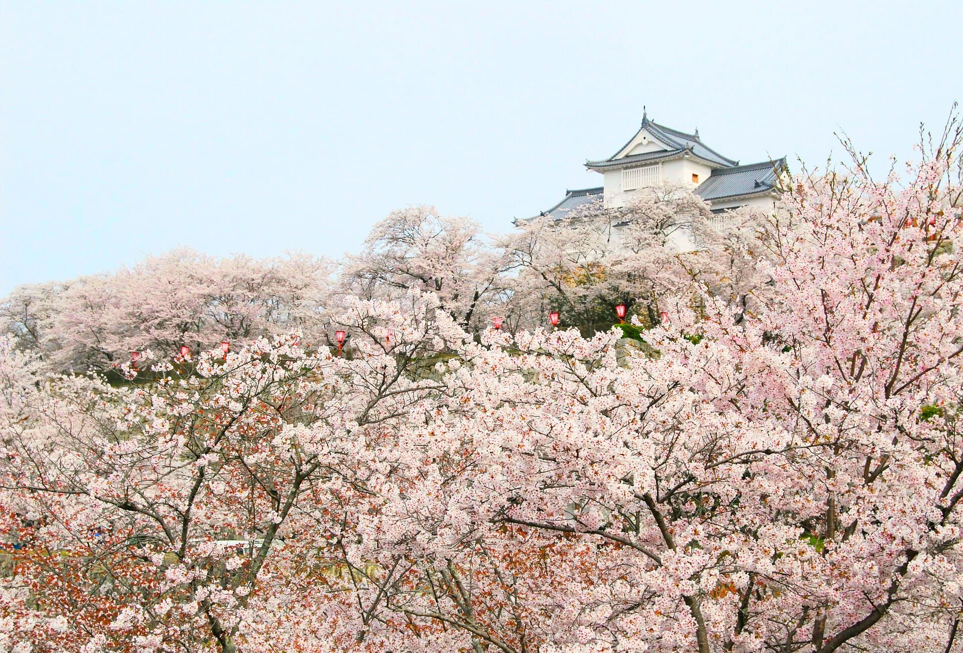 津山城